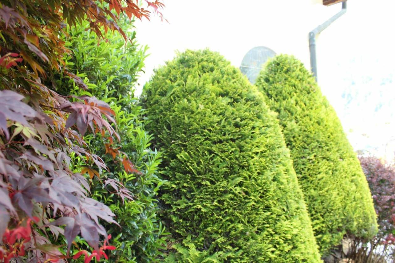 Wanderhotel Garni Cresta Schruns Exterior foto